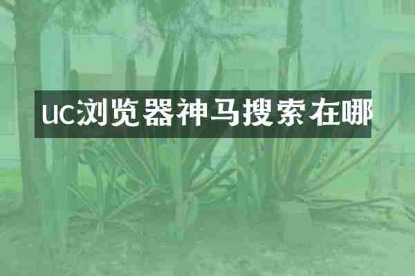 uc浏览器神马搜索在哪