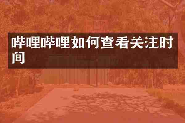 哔哩哔哩如何查看关注时间