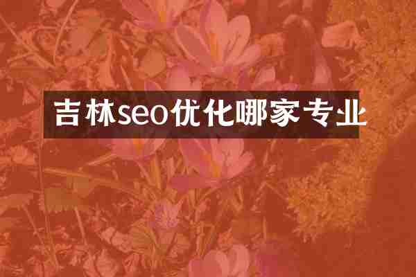 吉林seo优化哪家专业