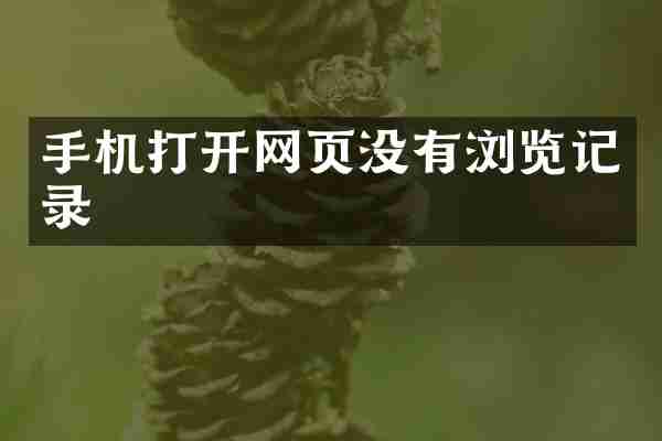 手机打开网页没有浏览记录