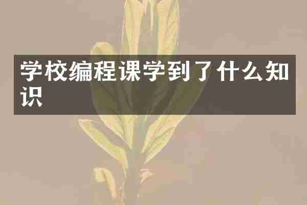学校编程课学到了什么知识