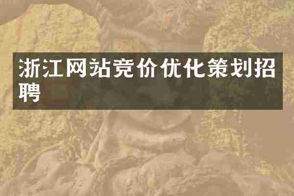 浙江网站竞价优化策划招聘