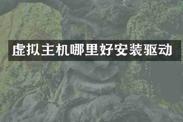虚拟主机哪里好安装驱动