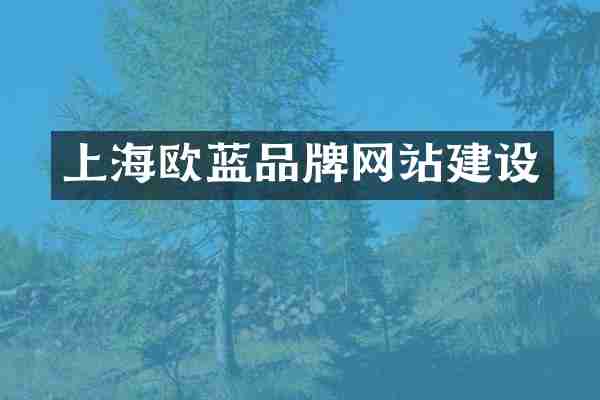 上海欧蓝品牌网站建设