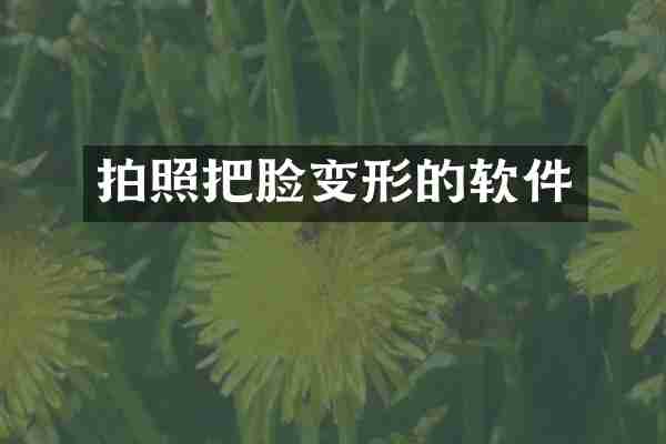 拍照把脸变形的软件