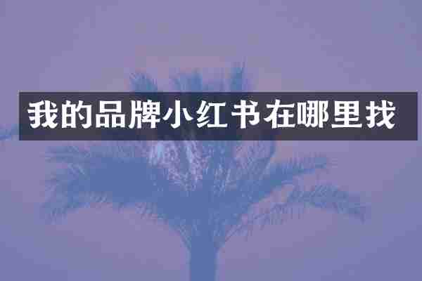 我的品牌小红书在哪里找