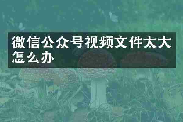 微信公众号视频文件太大怎么办