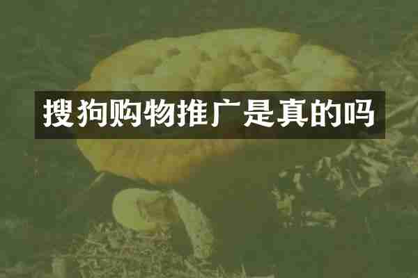 搜狗购物推广是真的吗
