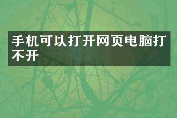 手机可以打开网页电脑打不开