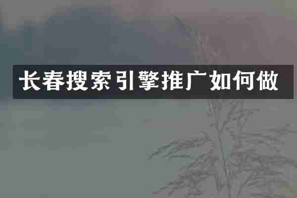 长春搜索引擎推广如何做