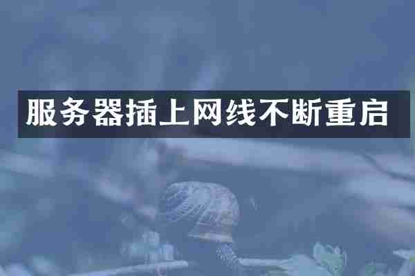 服务器插上网线不断重启