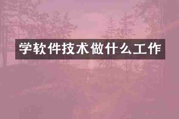 学软件技术做什么工作