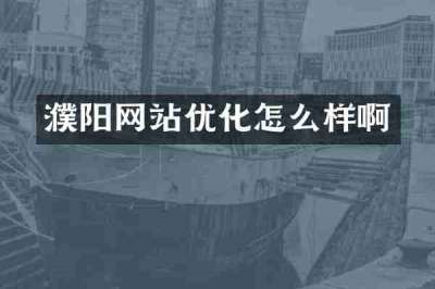 濮阳网站优化怎么样啊