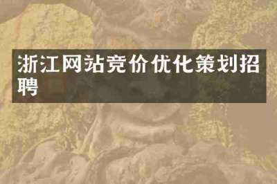浙江网站竞价优化策划招聘