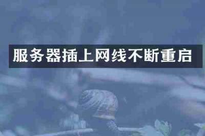 服务器插上网线不断重启