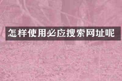 怎样使用必应搜索网址呢
