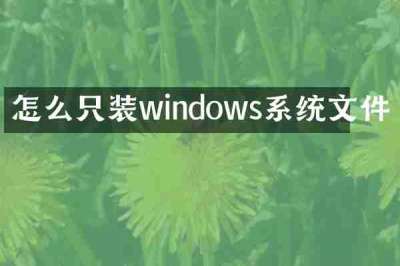 怎么只装windows系统文件