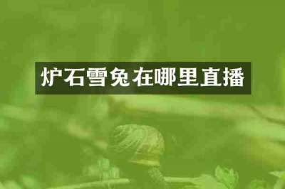 炉石雪兔在哪里直播