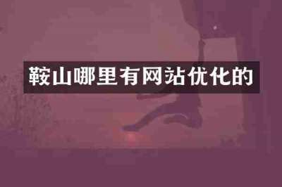 鞍山哪里有网站优化的