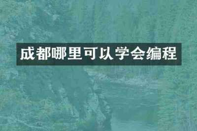 成都哪里可以学会编程