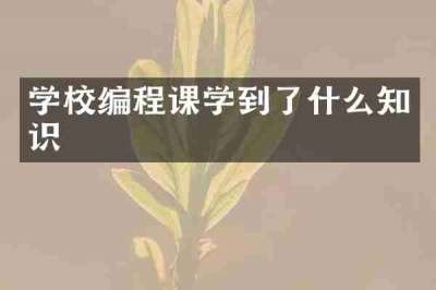 学校编程课学到了什么知识