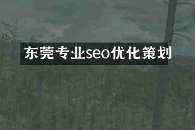 东莞专业seo优化策划