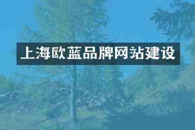 上海欧蓝品牌网站建设