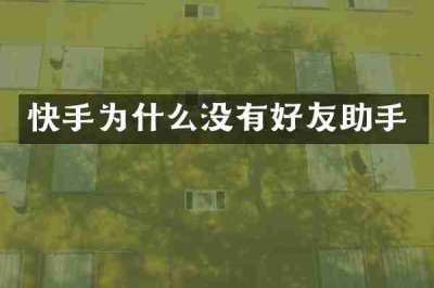 快手为什么没有好友助手