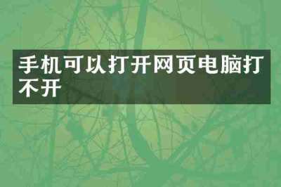 手机可以打开网页电脑打不开