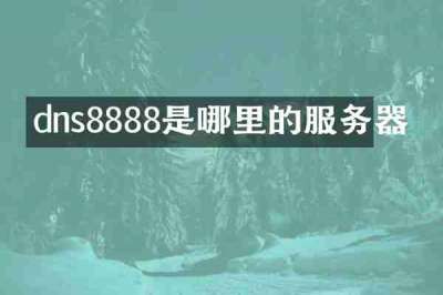 dns8888是哪里的服务器