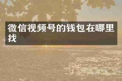 微信视频号的钱包在哪里找