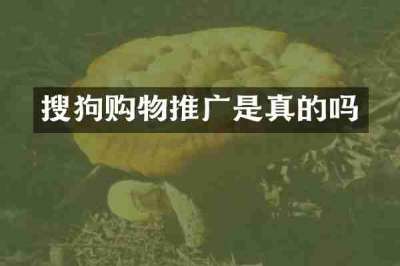 搜狗购物推广是真的吗