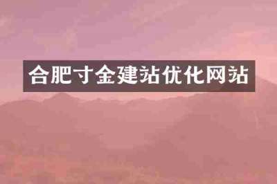 合肥寸金建站优化网站