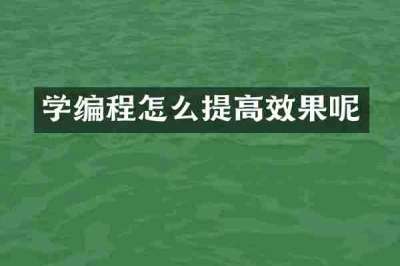 学编程怎么提高效果呢