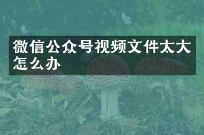 微信公众号视频文件太大怎么办