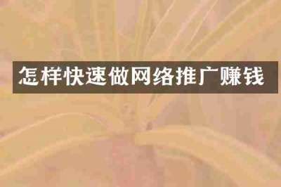 怎样快速做网络推广赚钱