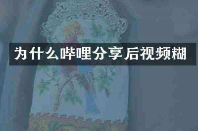 为什么哔哩分享后视频糊