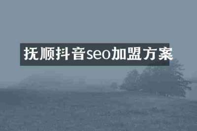 抚顺抖音seo加盟方案
