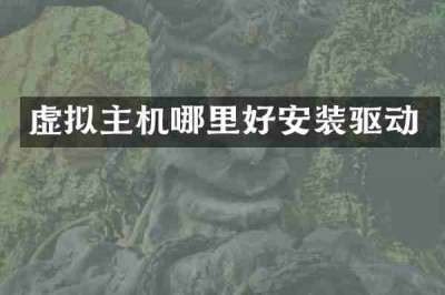 虚拟主机哪里好安装驱动