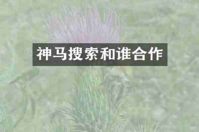 神马搜索和谁合作