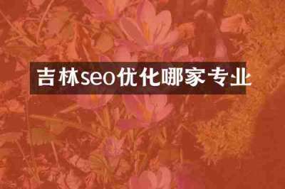 吉林seo优化哪家专业