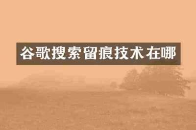 谷歌搜索留痕技术在哪