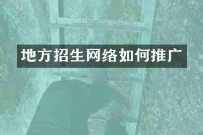 地方招生网络如何推广