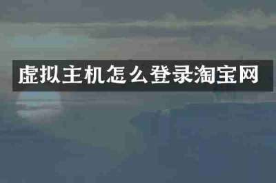 虚拟主机怎么登录淘宝网