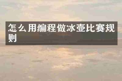 怎么用编程做冰壶比赛规则