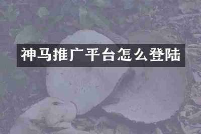 神马推广平台怎么登陆