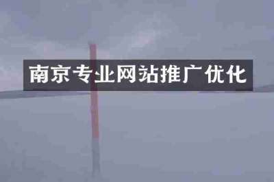 南京专业网站推广优化