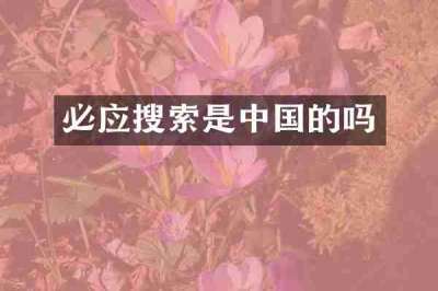 必应搜索是中国的吗