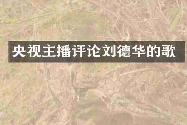 央视主播评论刘德华的歌
