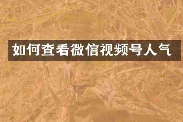 如何查看微信视频号人气